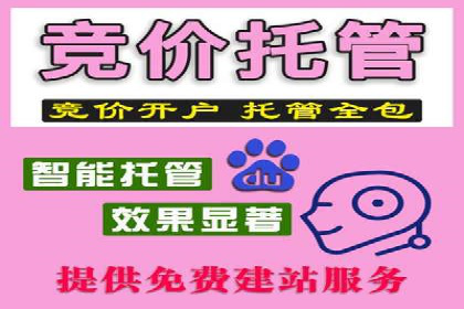 SEM代理案例：从零到一，见证品牌崛起